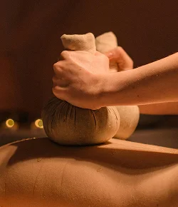 Expert massage therapy session at The Spa Guardian